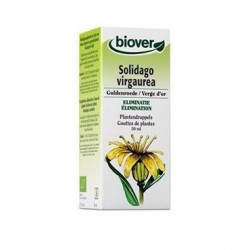 Gouttes EPF verge d'or 50ml Biover BIO