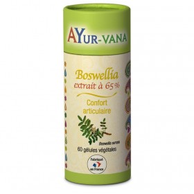 Boswellia extrait à 65% 60 gélules Ayur-vana