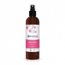 Eau florale rose de damas Centifolia BIO