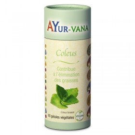 Coleus 60 gélules Ayur-Vana