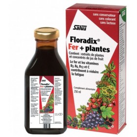 Floradix® fer plus plantes 500 ml Salus