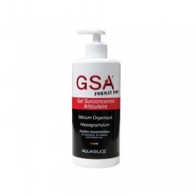GeSil gel surconcentré articulaire 500 ml Aquasilice