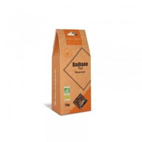 Tisane badiane 75g Nat et Form BIO