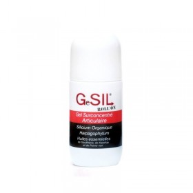 GeSil gel surconcentré articulaire roll-on 40 ml Aquasilice