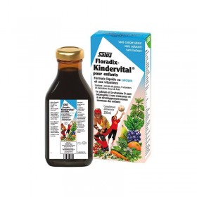 Floradix kerdervital enfants 250ml Salus