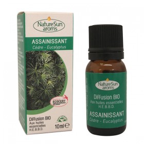 Diffusion assainissant 10 ml NaturSun arôme BIO