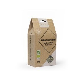Tisane voies respiratoires 80g Nat et Form BIO