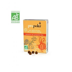 Gomme de propolis et gingembre Propolia BIO